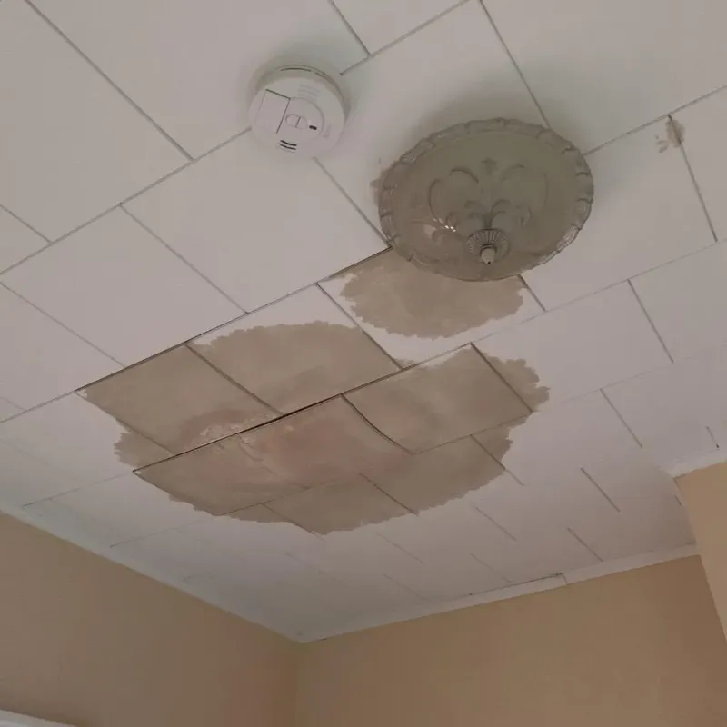 Ceiling Water Damage Repair in Greendale, WI