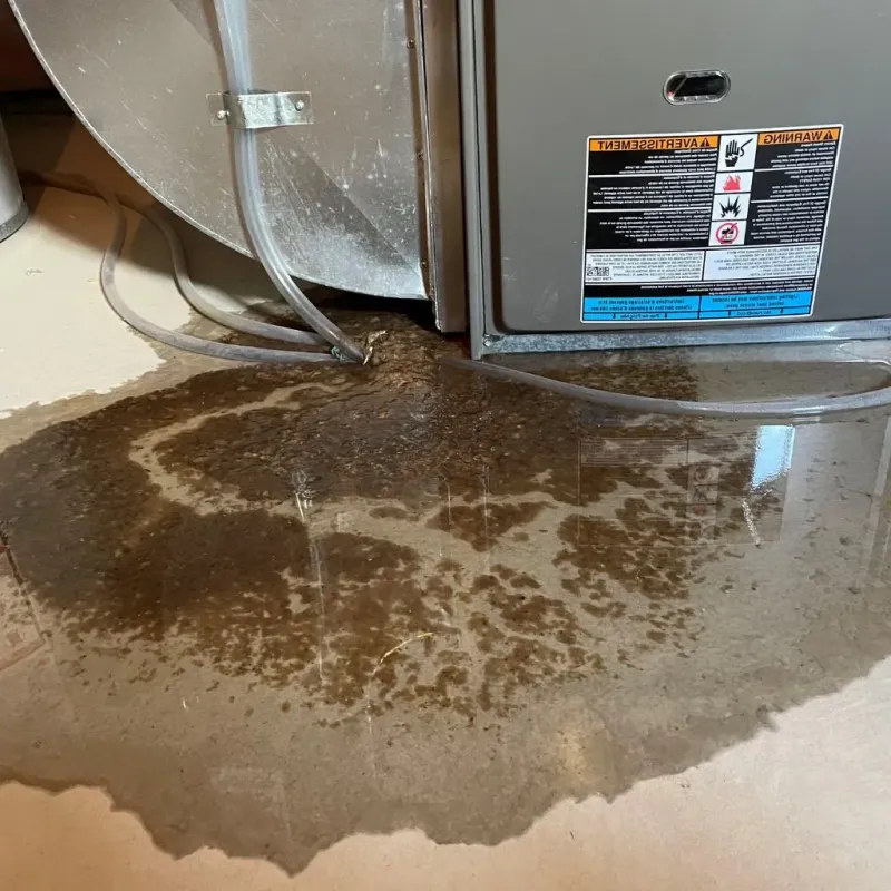 Pipe Burst and Leak Restoration in Greendale, WI
